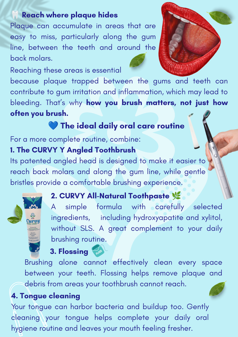 Text explaining how to prevent or stop bleeding gums by removing more plaque.